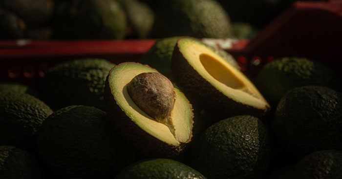 diferentes puntos del aguacate