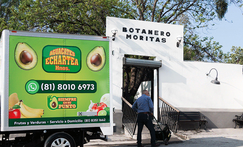 diferentes puntos del aguacate