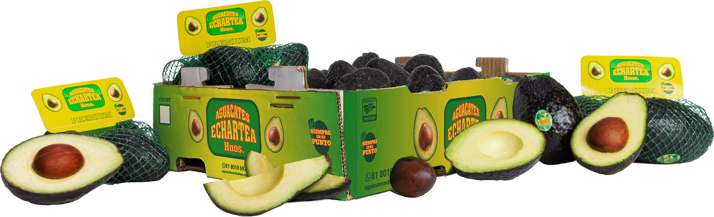 aguacates
